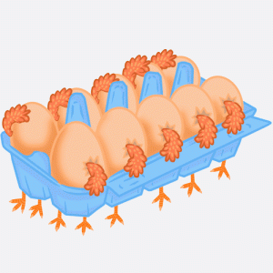 30 Fresh Eggs