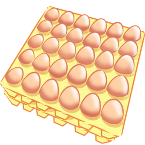 120 Fresh Eggs